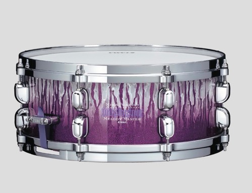 Tama mike portnoy - opened),