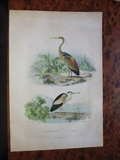 Gravure animaux