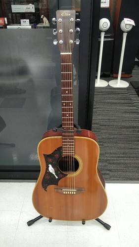 Guitare acoustique elite - guitare,