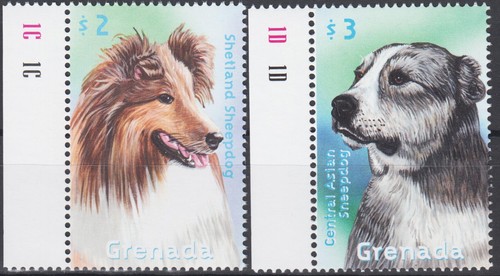 Grenade 2000 chiens berger des - chiens,berger,