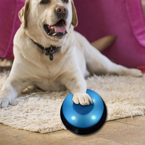 Enregistrement son bouton - enregistrement,