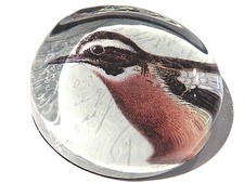 Collectible paper press bird red throat decorative