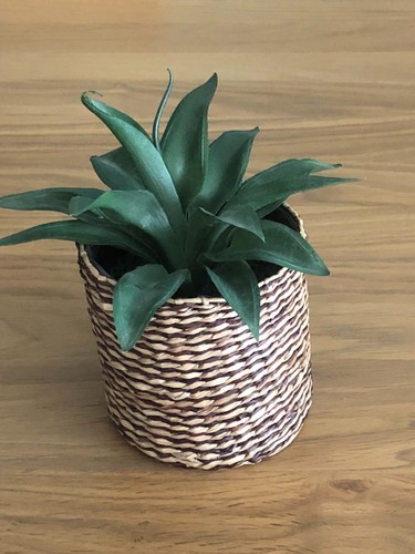 Plante artificielle avec - , cache