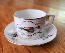 Vintage Richard Ginori 1735 Voliere Tea Cup & Saucer Set Bird & Flowers Italy