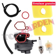 799583 carburateur filtre à
