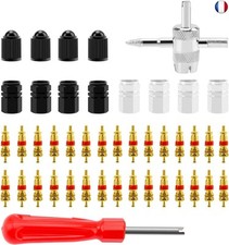 44 Pièces Demonte Valve Pneu Outil, VooGenzek avec Extracteur de Noyau de à U
