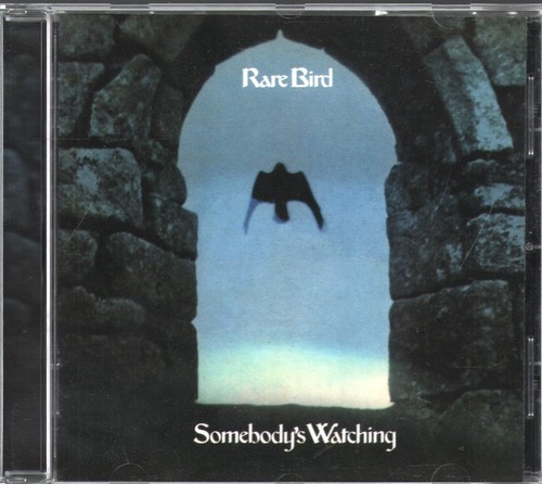 Rare bird somebody s - rare, somebody's