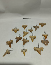Lot de 30 pendentifs dents de requin fossile du Maroc pendentif
