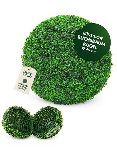 Buis boule plante - buis,