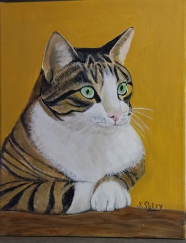 Tableau chat blanc tigré - tableau,