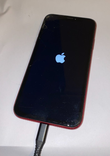 Apple iphone 64 go - xr, –