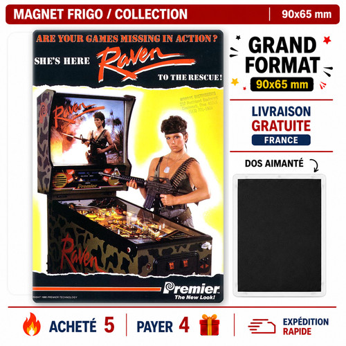 Magnet frigo flipper raven - magnet,