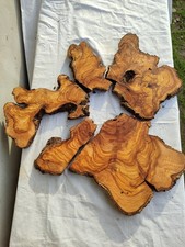 Rare table époxy bord vivant