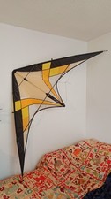 Cerf volant freestyle R-Sky