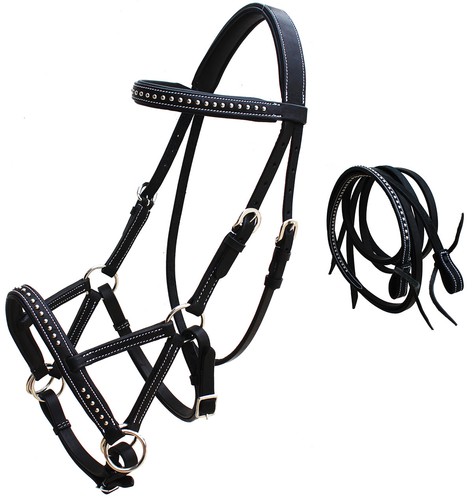 Horse western leather - horse,