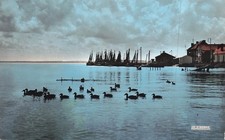 80 LE CROTOY LES PITTORESQUES