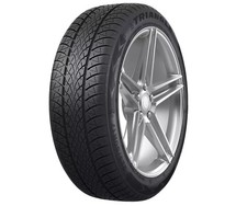 Pneu TRIANGLE Winter X TW401