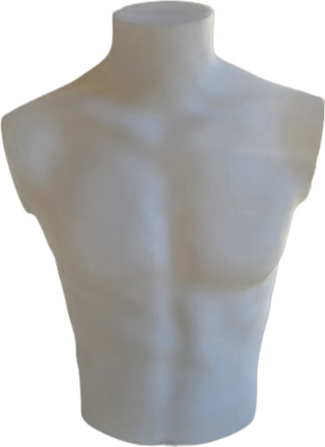 Male torso mannequin - torso,