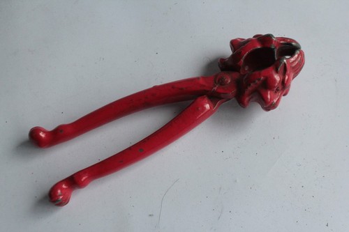 Casse noix noisettes lion - noisettes,