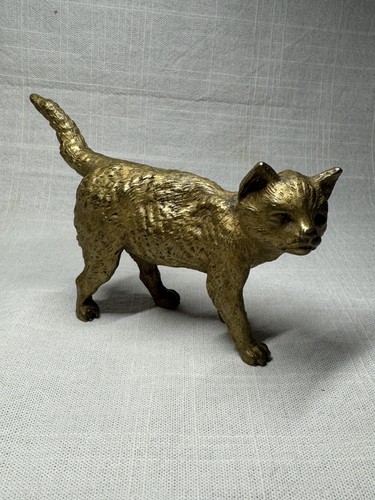 Beau chat bronze - en, vienne