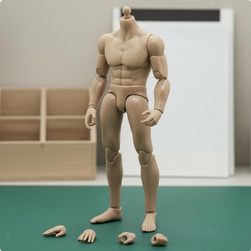 Corps masculin articulé - corps,
