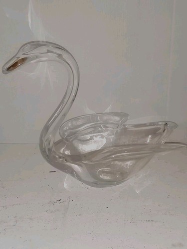 Cygne val saint - cygne,