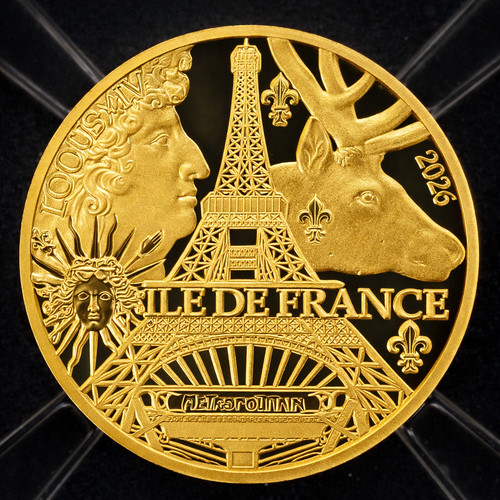 Pièce île de - pièce, 5€