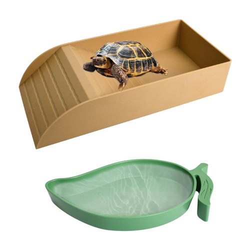Bassin bain tortue - de, bol