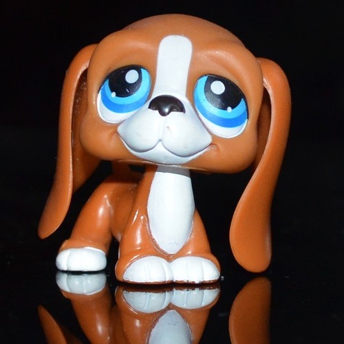 Lps littlest petshop basset - littlest,