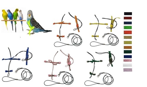 Bavoir perroquets taille - bavoir,