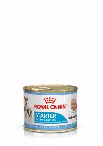Mousse alimentaire humide - alimentaire,