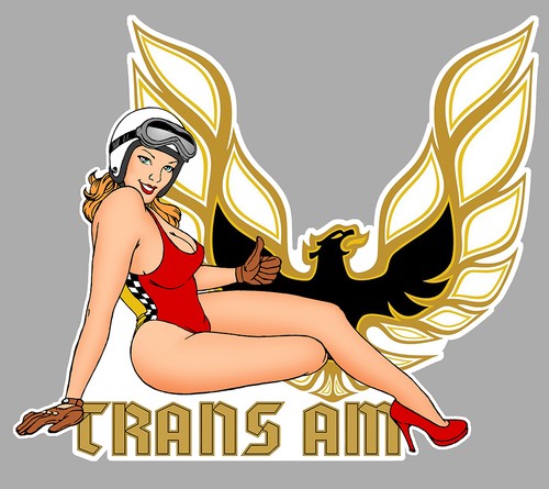 Pontiac trans right pin - trans,