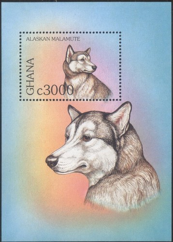 Ghana 1997 mnh dog - ghana, mnh**