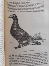 LE PIGEON VOYAGEUR 1950 VAN