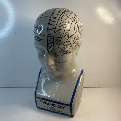 Phrenology bust n - 12”bust, l.n
