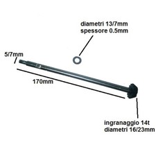 Arbre Avec Roue Dentée