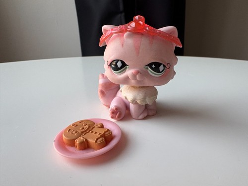 Petshop chat persan - , n°460