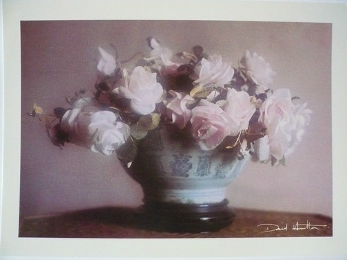 Carte postale david - carte,