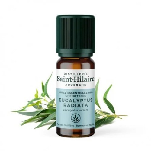 Huile essentielle eucalyptus - essentielle,