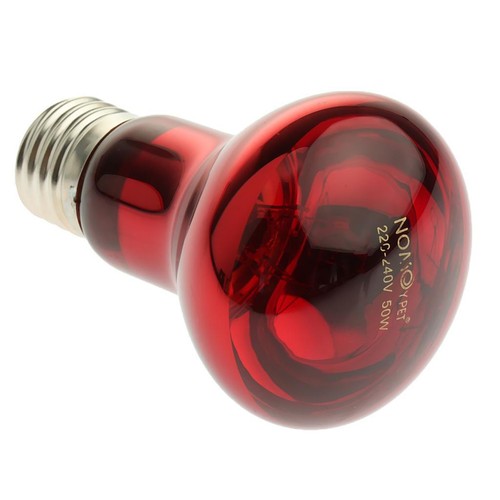 Lampe infrarouge pour - , animaux