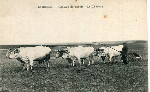 Carte agriculture beauce - agriculture, en