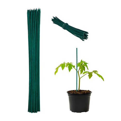 Tuteur tomate plante - tomate,