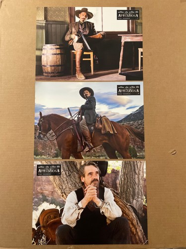 Appaloosa photos couleurs - appaloosa,
