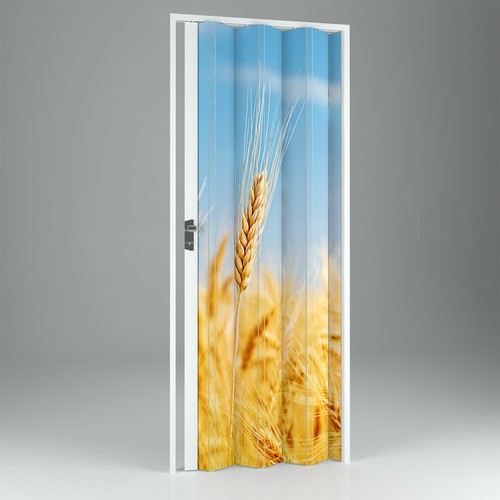 Porte accordèon impression - porte,