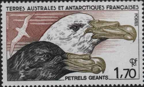 Timbre oiseaux taaf 116 - 116, **
