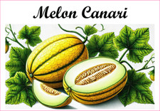 Melon Canari  12 sticker vinyle conserve fruit légume confiture fait maison