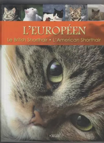 Européen le british - :,