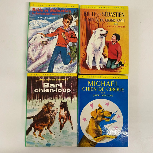 Lot livres bibliothèque - livres,