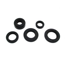 Ensemble De Joint D'huile Pour