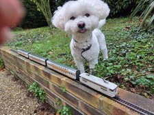 train électrique ho de